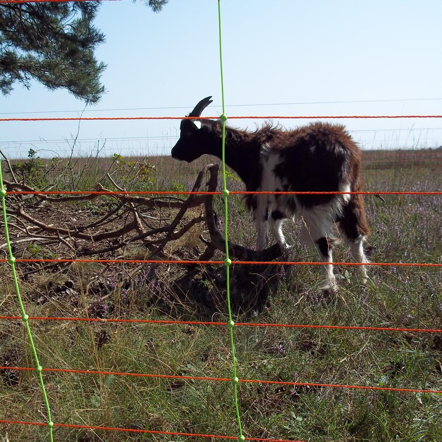Combo net for sheep, single pin, 90cm high, 50m long