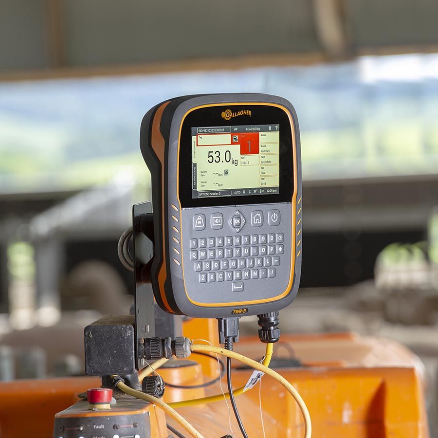 TWR-5  Weigh Scale and Data Collector with integrated EID Reader
