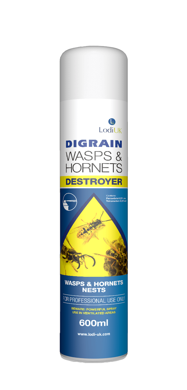 Digrain Insect Killer Spray 600ml - Professional Use