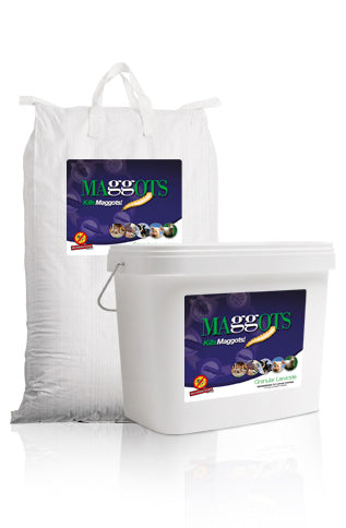 Maggots Granular Larvicide - Professional Use - SPECIAL 10% Free - 22kg for price of 20kg