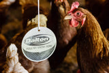 Stainless Steel Pecker - Environmental Enrichment for Chickens