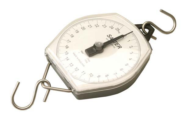 Salter Hanging Scales 100Kg x 500g